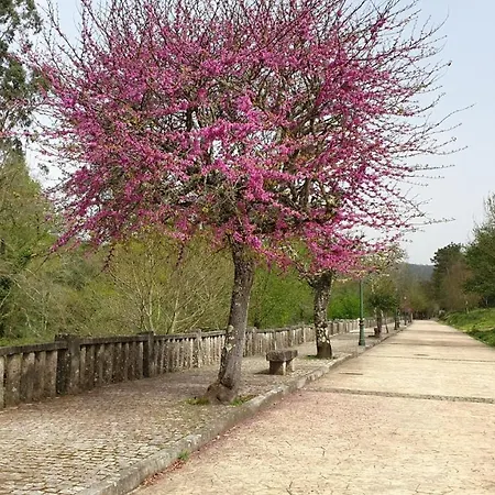 Διαμέρισμα Paraiso Del Agua *